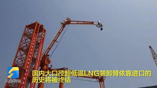 日照終結(jié)進(jìn)口依賴(lài) 全國(guó)首臺(tái)自動(dòng)化打包機(jī)實(shí)現(xiàn)國(guó)產(chǎn)化